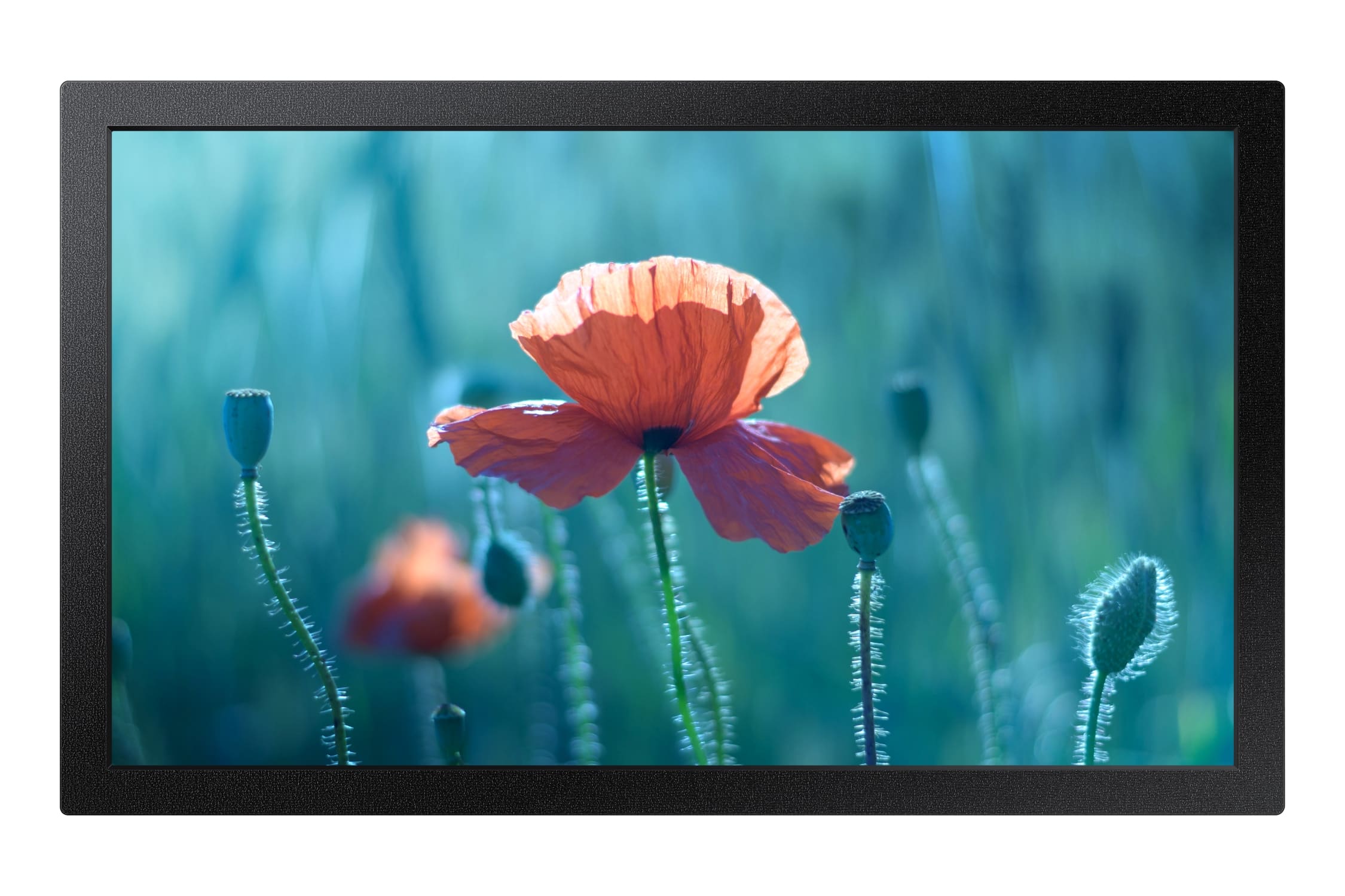Samsung QB13R-M Signage Display 13 Zoll Full-HD