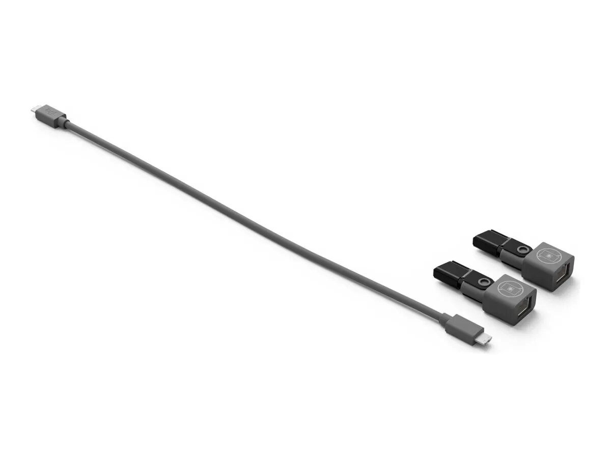 Logitech Rally Mic Pod CAT-Kupplung