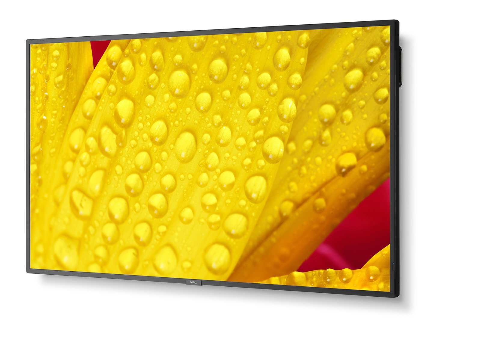 NEC MultiSync M431-2 Signage Display 43 Zoll 4K UHD